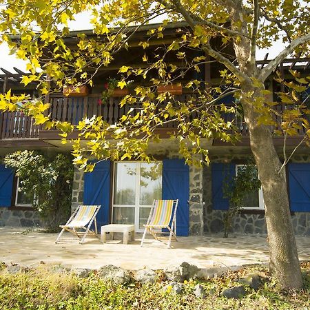 洛泽内茨Art Provence House别墅 外观 照片
