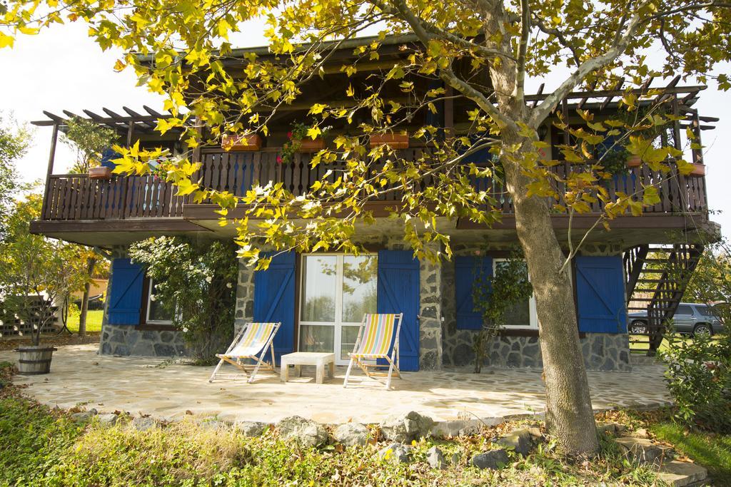 洛泽内茨Art Provence House别墅 外观 照片